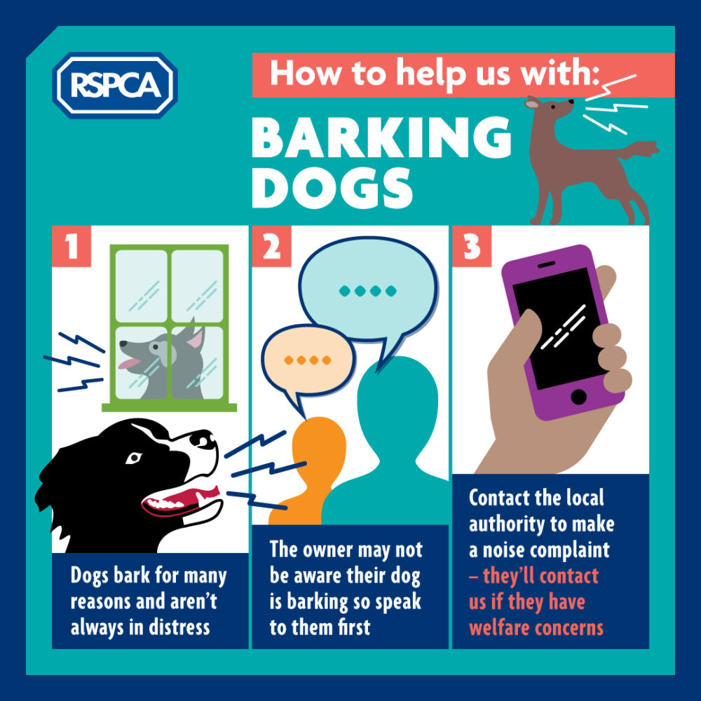 Top tips for when dogs bark in your neighbourhood