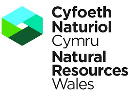 Natural Resources Wales decides to maintain trail hunting ban on its land