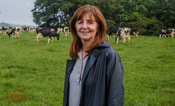 Have your say on landmark new farm support proposals at Dairy Show