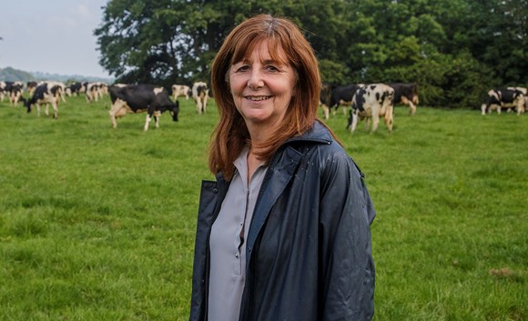 Thousands of Welsh farms to receive payments