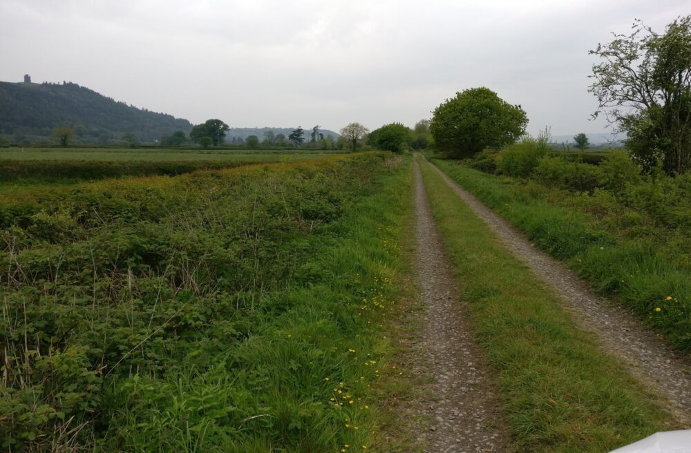 Council wants your views about proposed pedestrian and cycle path from Abergwili to Ffairfach