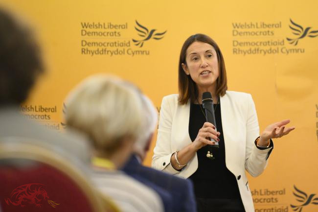 Mid and West Wales MS Jane Dodds calls for better grid infrastructure for Mid Wales