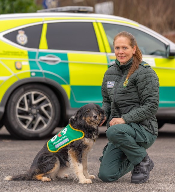 Dill helps ambulance staff stay paws-itive