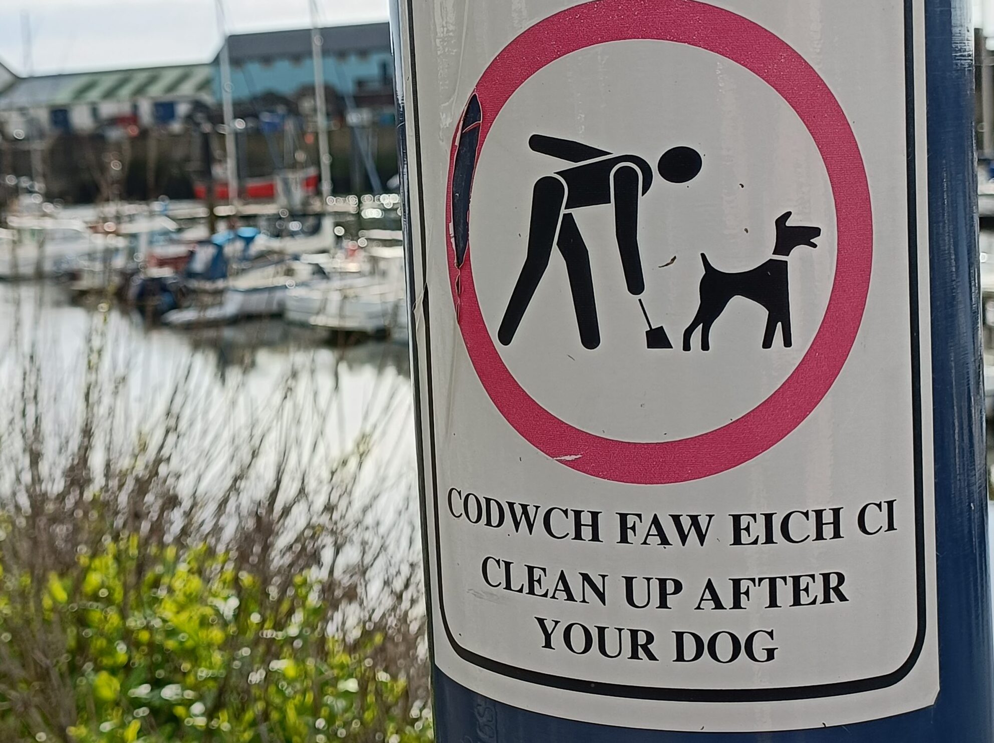 Council workers in Gwent averaged a tonne of dog waste from bins every day during COVID-19 pandemic