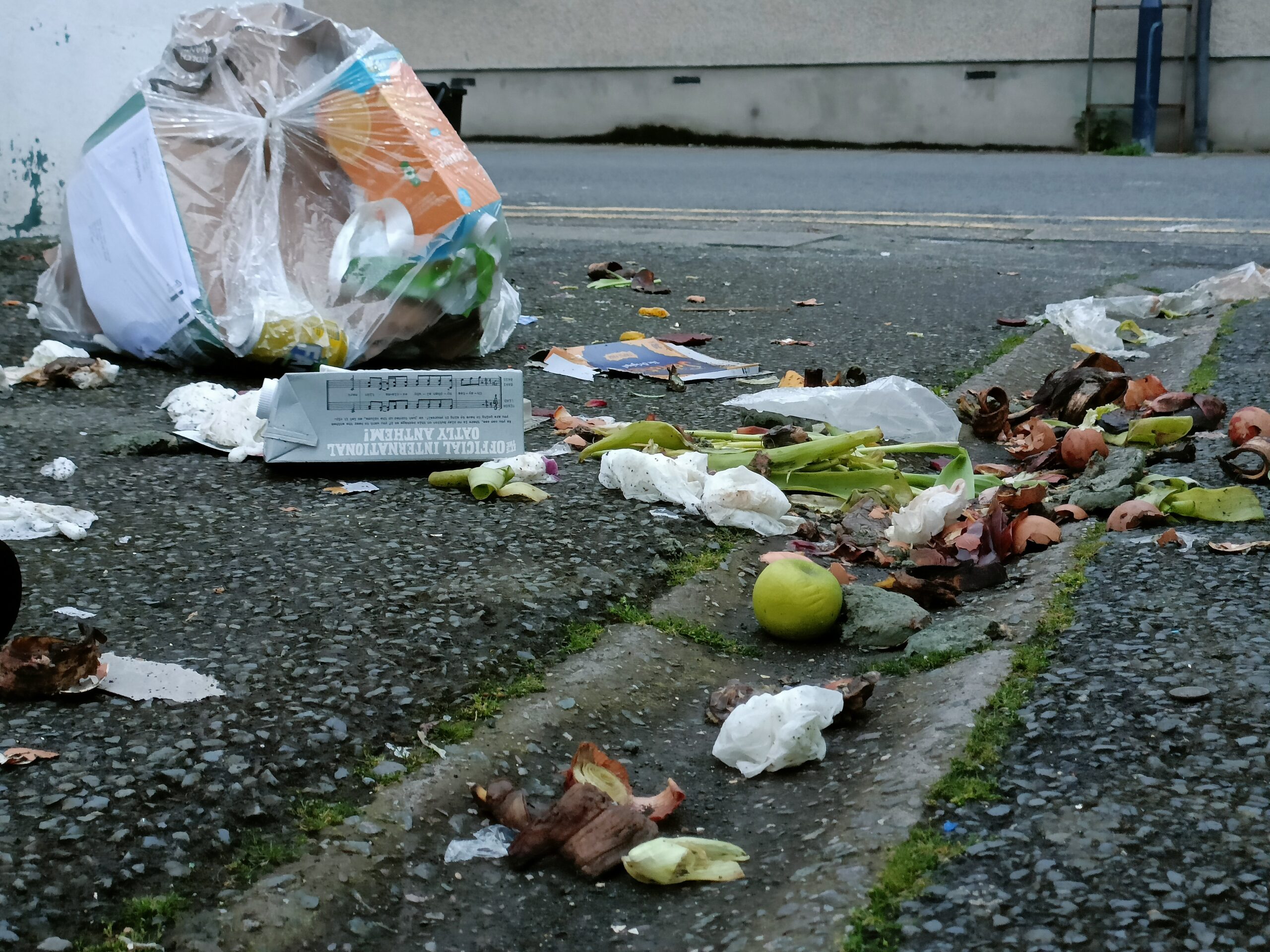 £2,550 in fixed penalty notices for littering and other environmental offences issued during December