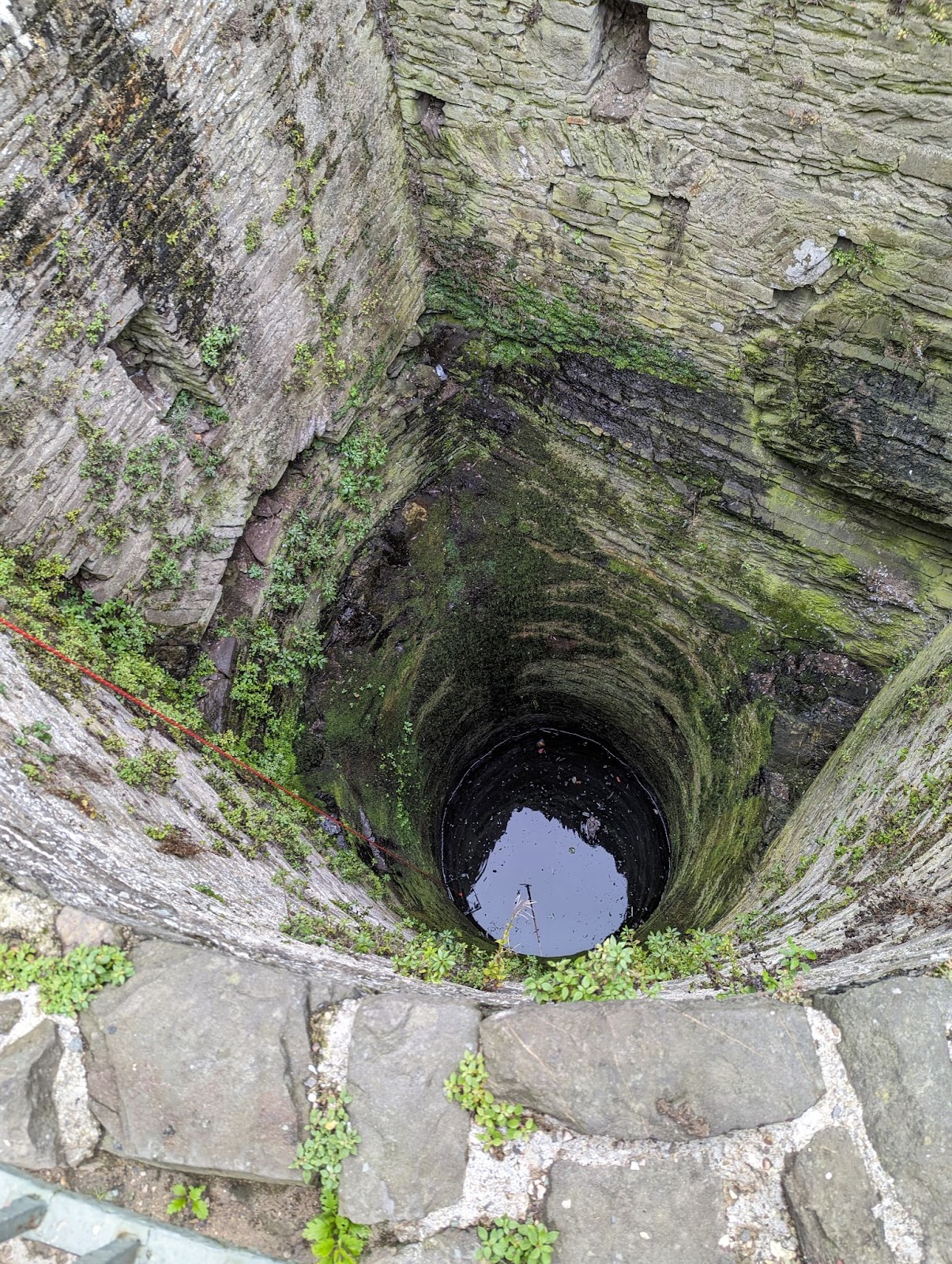 RSPCA rescue gull from well at historic Conwy Castle