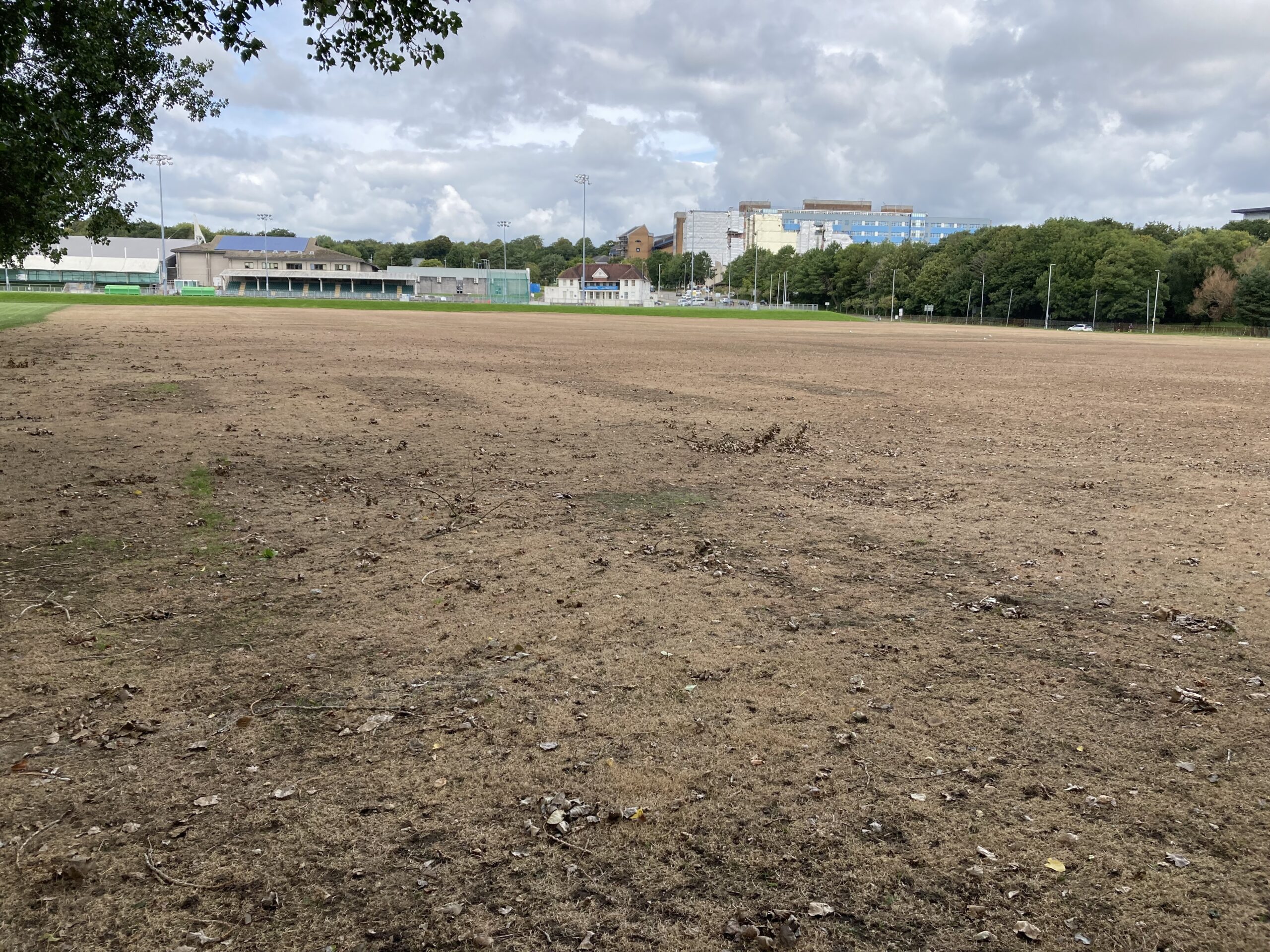Swathe of brown on playing fields baffles Sketty community
