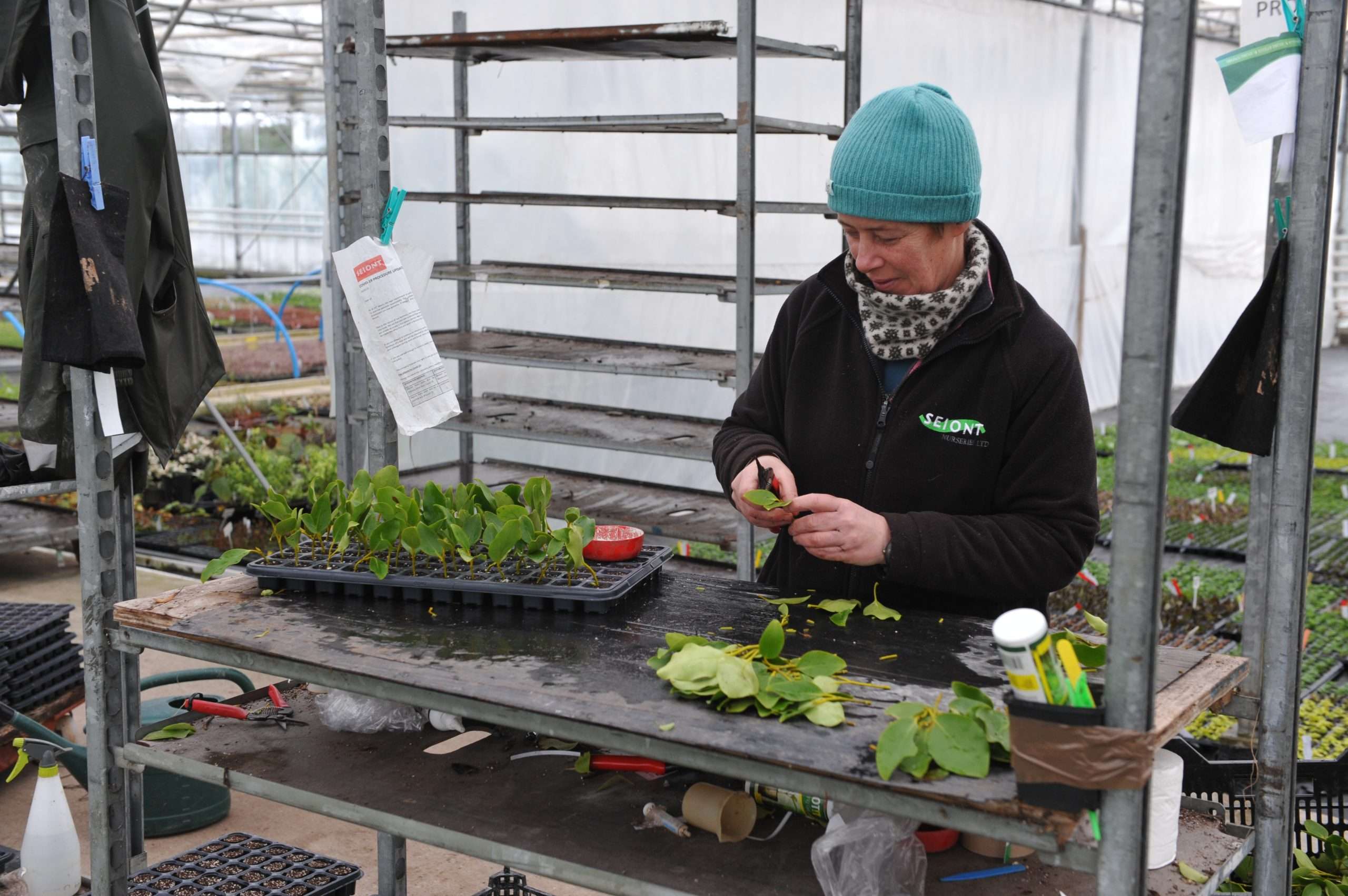 Farming Connect skills courses key to staff development at horticulture business