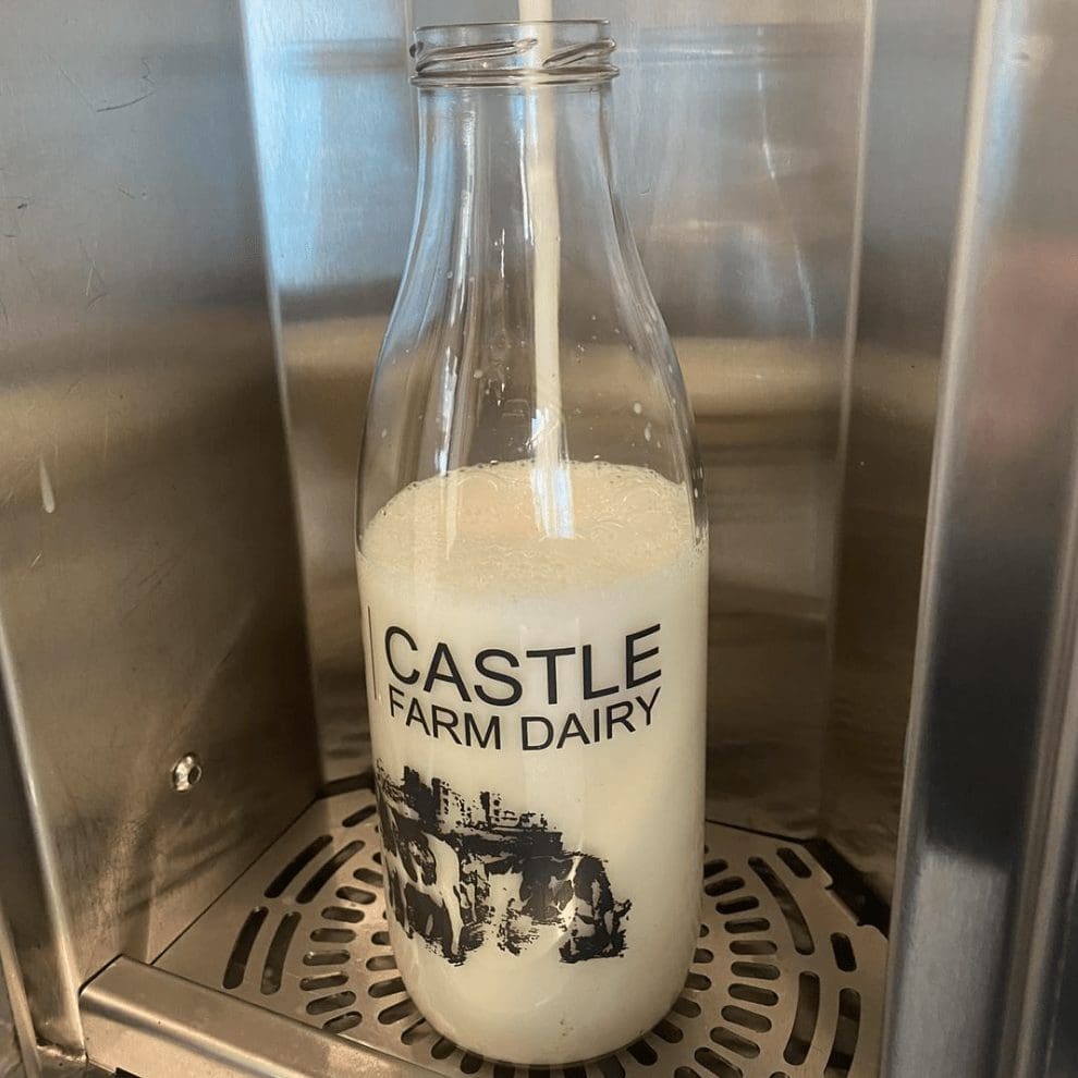 TikTok viral milkshake machine at a farm outside Newport falls victim to complaints and Council allegations