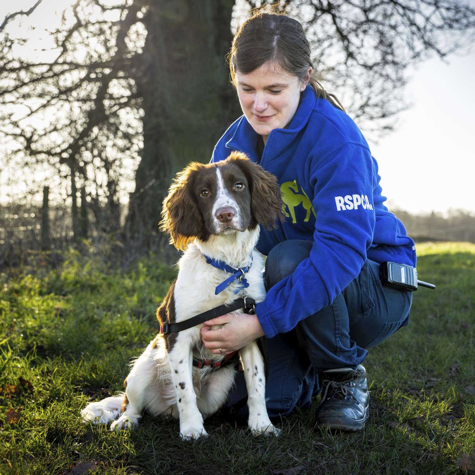 RSPCA launches ‘For Every Kind’ campaign in Wales to ‘rethink animals’ in 200th year