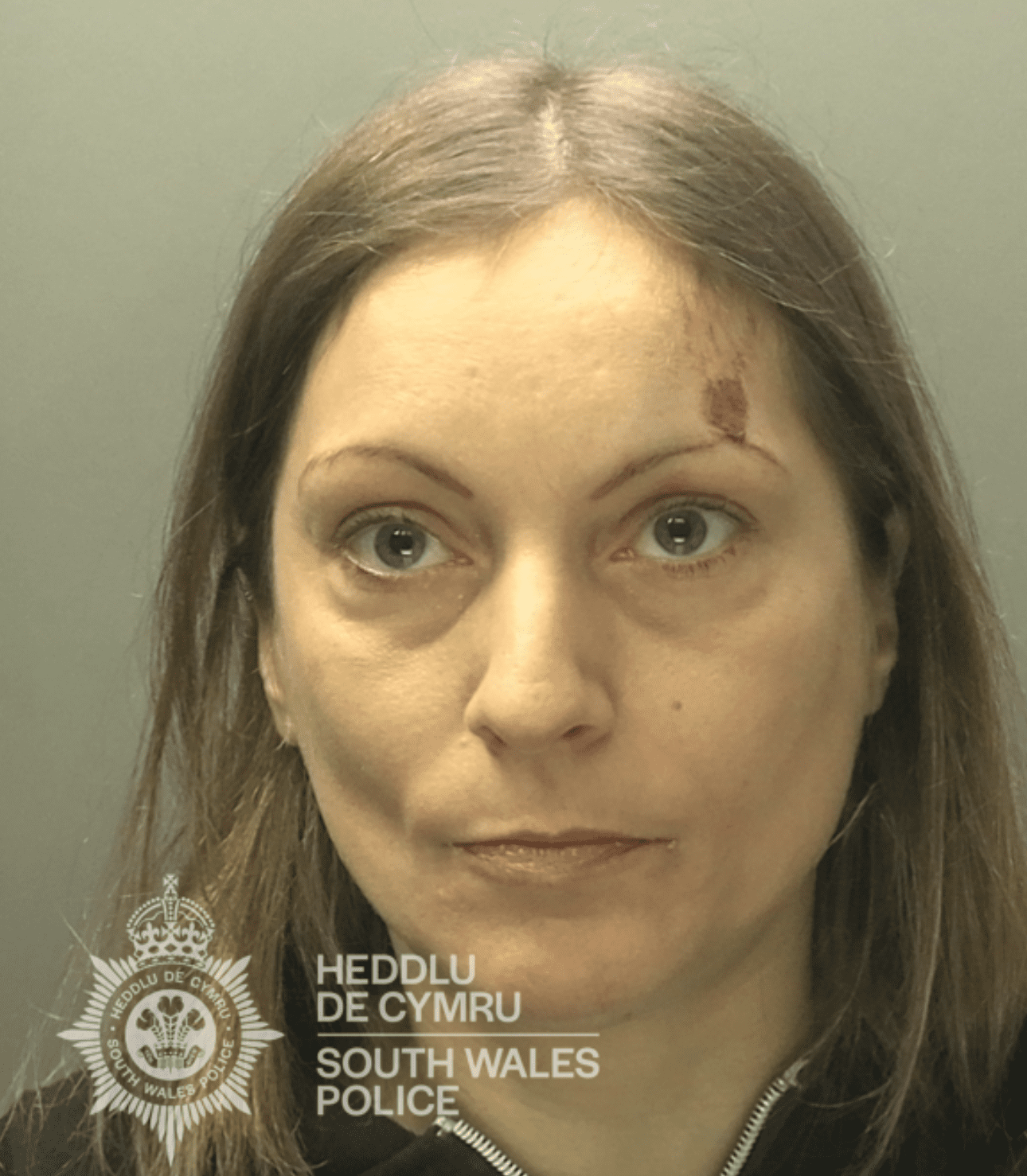 Woman jailed after arson attack at Swansea City McDonald’s