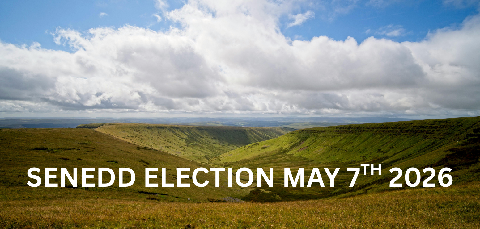 Senedd Election: Candidates for Blaenau Gwent Caerffili Rhymni