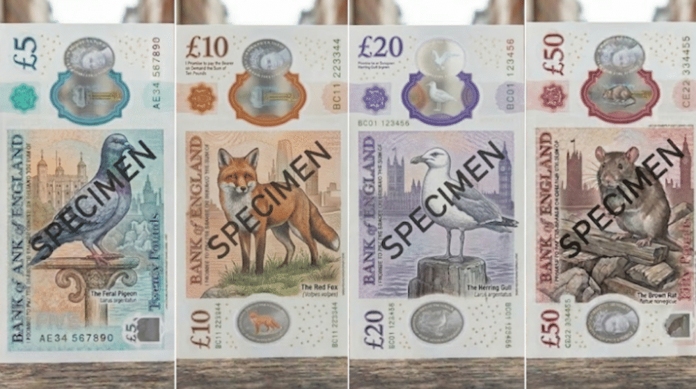 RSPCA welcomes new Chief Cashier ahead of ‘great opportunity’ to promote wildlife